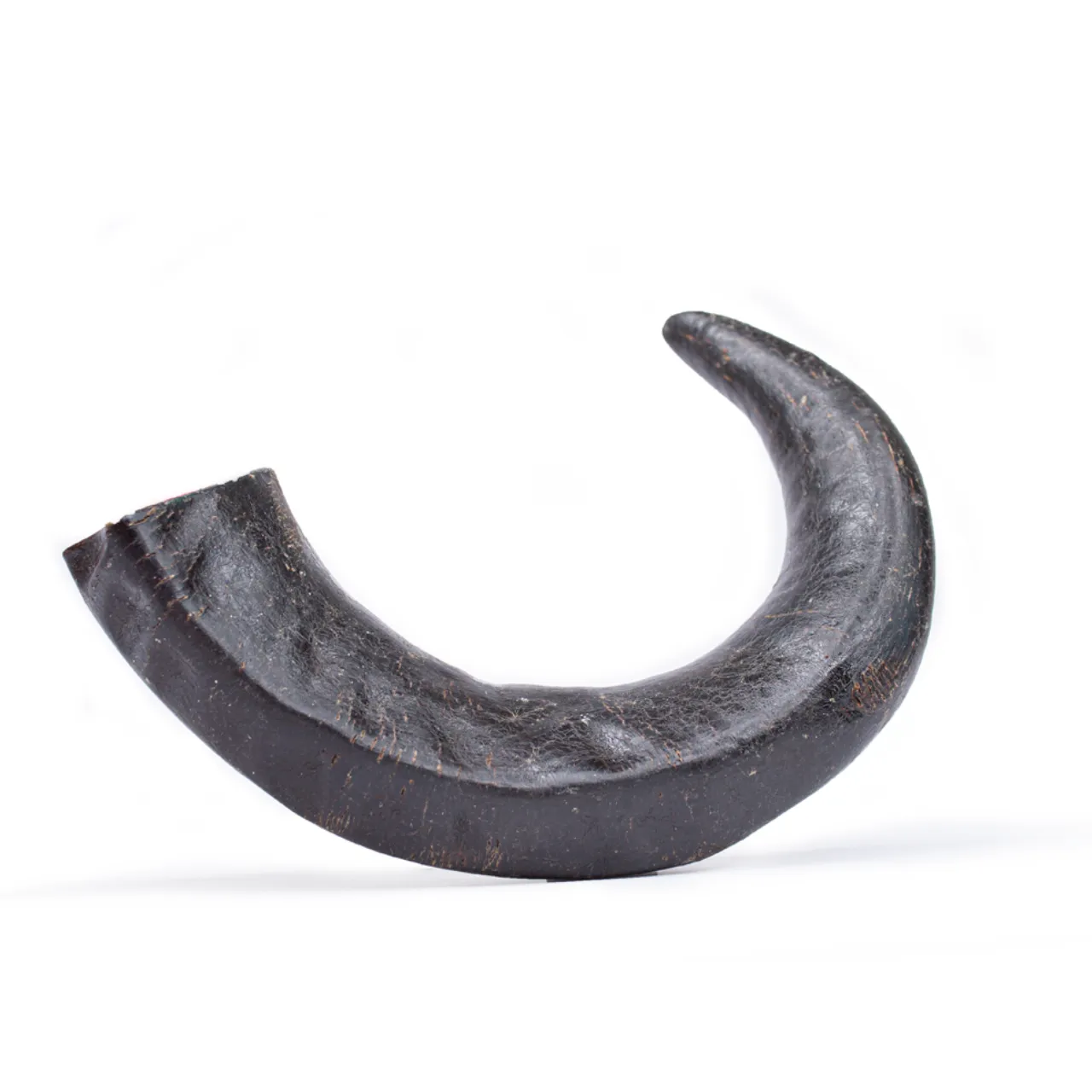 Snackit Bøffelhorn 300-400 g - naturligt tyggehorn 1 stk